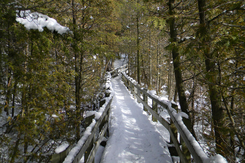 Randonnée hivernale à Rattlesnake Point RV-Motorhome Tour