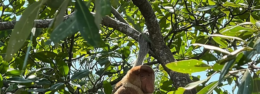 Kuching : Visite de 2 jours dans le parc national de Bako