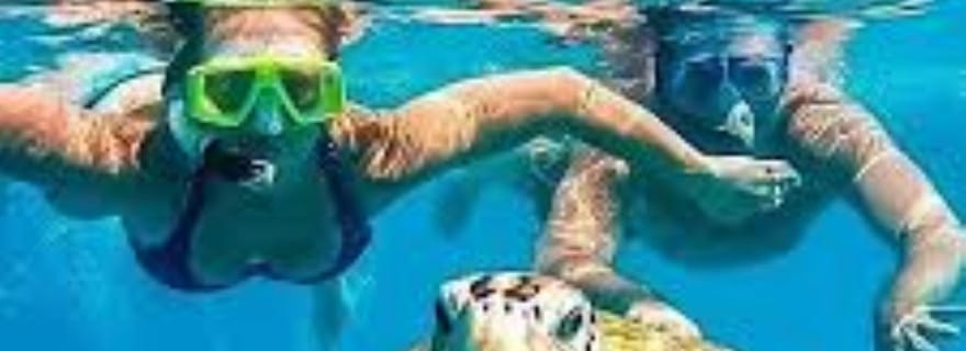 Máncora : plage d'Órganos et baignade avec les tortues