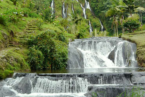 Cali: Wycieczka do Term Santa Rosa de Cabal | Wyjazd z CaliCali: Wycieczka do term Santa Rosa de Cabal | Wyjazd z Cali