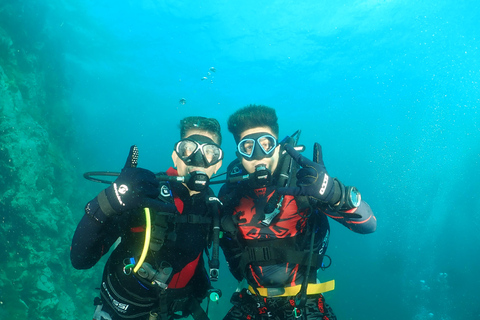 Phuket: NURKOWANIE SCUBA 3-dniowa wycieczka 1-dniowa Koh Phi Phi/Shark Point