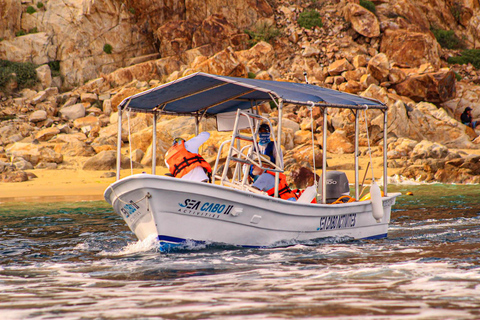 Cabo San Lucas: Tour al Arco en Barco Fondo de Cristal