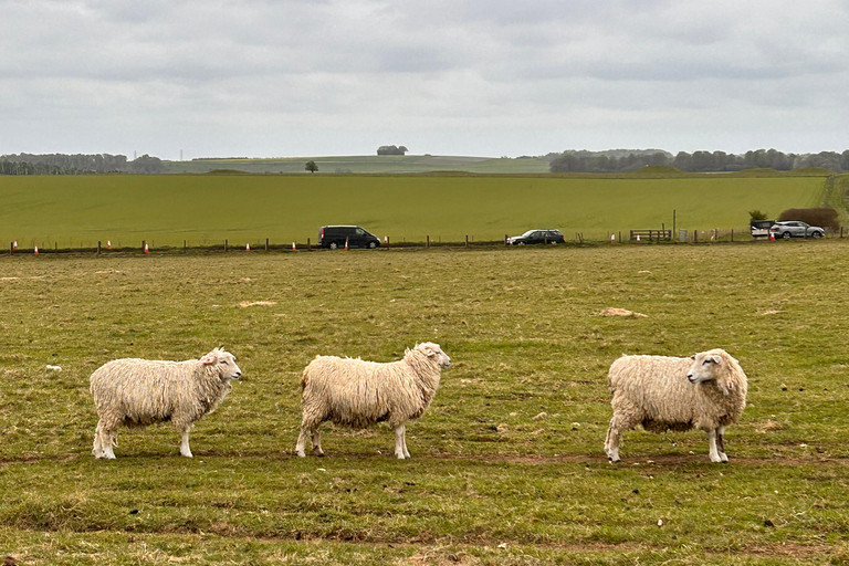 Private Tour nach Stonehenge, Bath und in die Cotswolds