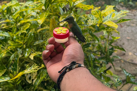 Cusco: 4-Day Manu National Park Tour