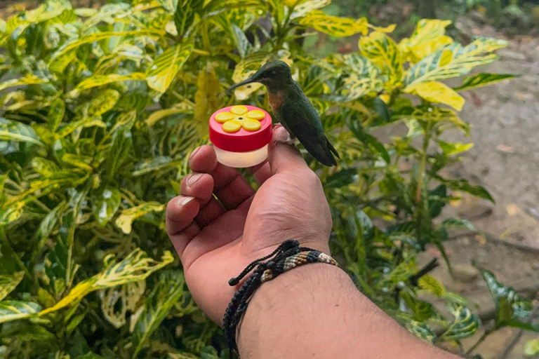 Cusco: 4-Day Manu National Park Tour