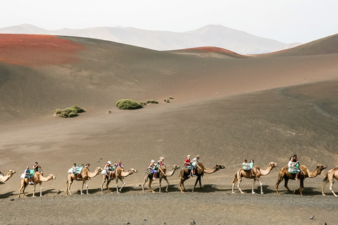 Montañas del Fuego de Lanzarote: Tour de medio díaMontañas del Fuego de Lanzarote: Tour de medio día (ES)