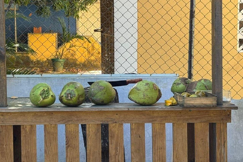 Puerto Plata: El Gallo Ecolodge Day Pass with Lunch