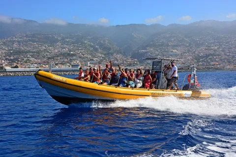Funchal: Speedboottocht walvissen en dolfijnen kijken