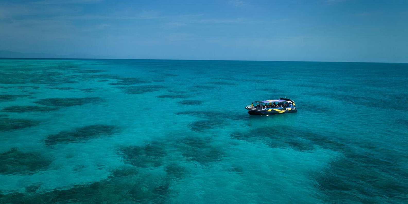 Cairns: Great Barrier Reef Half-Day Snorkelling Tour