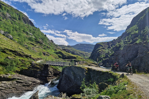 Guided, electric bicycle tour from Vatnahalsen (near Flam) Guided e-bike tour from Vatnahalsen (Myrdal) - Rallarvegen