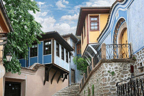 Sofia: Private Plovdiv Trip with Guide & Free Time