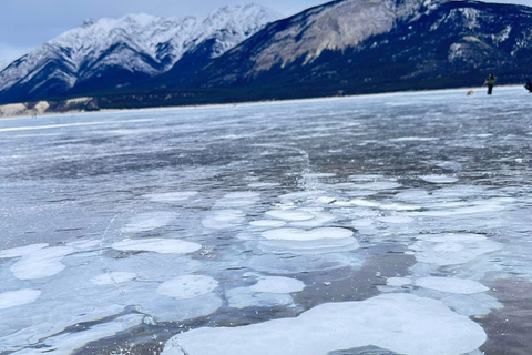 Banff: Banff &amp; Yoho National Park Lakes and Gondola Tour