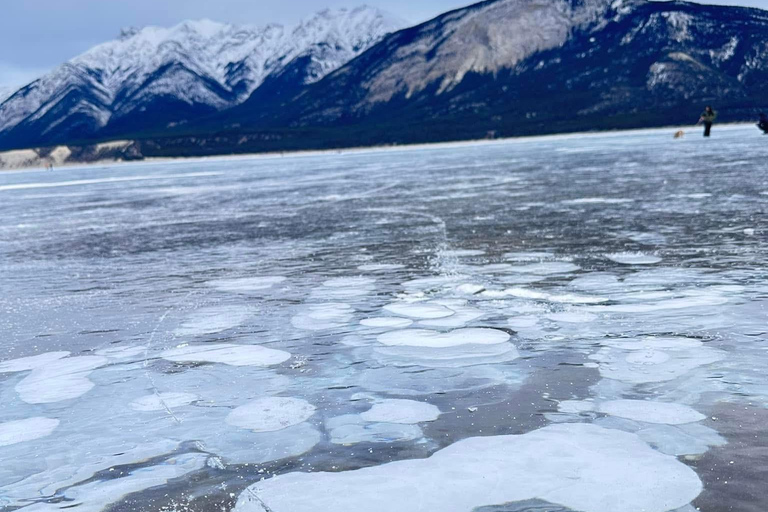 Banff: Banff &amp; Yoho National Park Lakes and Gondola Tour