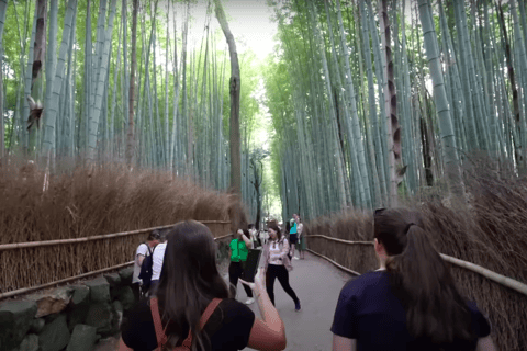 From Osaka/Kyoto: Kyoto Full-Day Sightseeing Private Tour