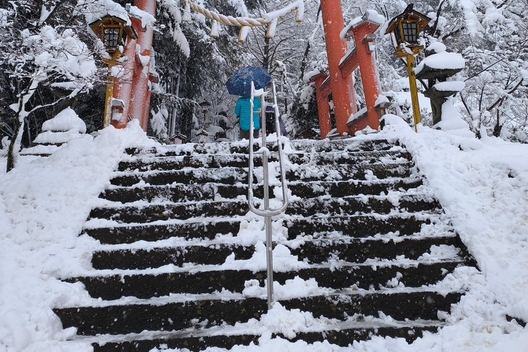 Mt Fuji Photography & Pilgrimage One-Day Tour From Tokyo Departure From Tokyo Station