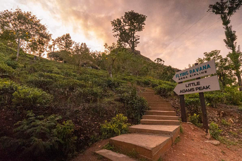 From Ella:Nine arch bridge, Ella Rock,Little Adam'speak Tour