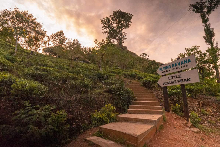 From Ella:Nine arch bridge, Ella Rock,Little Adam'speak Tour