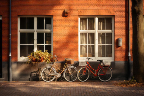 Rotterdam: Insta-Perfect Walk mit einem Einheimischen