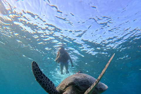 Gili Trawangan: Private Turtle Snorkeling Tour with GoPro 2-Hours Private Snorkeling Tour Turtle & Gopro