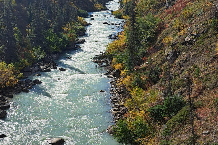 1/2 Day Yukon and Suspension Bridge Adventure