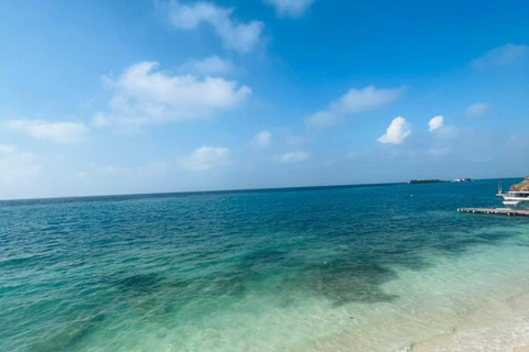 Cartagena: Sol y Papaya Beachclub - Daytour in Isla Grande!