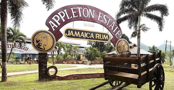 Appleton Estate Rum Tour: Full Day from Montego Bay