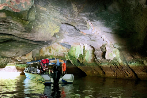 Signature Mangrove Discovery Boat Tour - 4 hours (Shared)