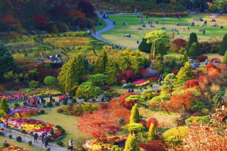Seoul: Seoraksan & Nami island & Korean Garden Tour [Winter wonder] Seoraksan+Nami island+ Eobi Ice Valley