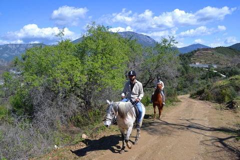 Alanya: Horse Riding Club Transfer ServiceFor Alanya Center Oba Mahmutlar Location