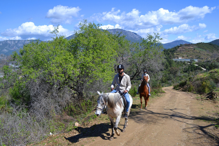 Alanya: Horse Riding Club Transfer Service For Alanya Center Oba Mahmutlar Location