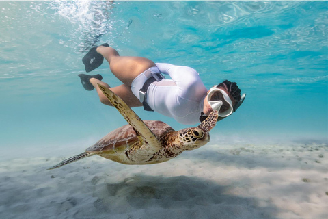 Mirissa VIP Turtles Snorkeling: Pool Training & Free GoPro