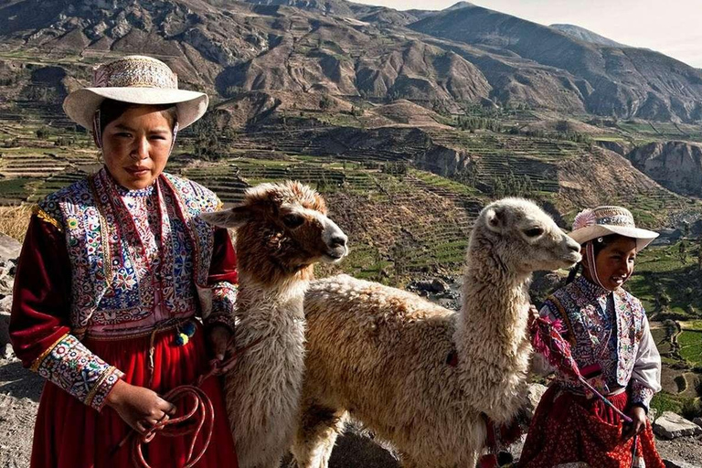 Arequipa: Ausflug Colca Canyon + Thermalbäder von Chacapi