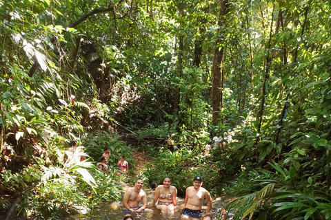 Cali: Whale Watching Tour with Breakfast and Lunch