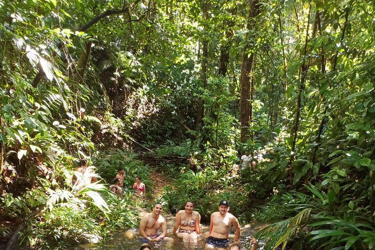 Cali: Whale Watching Tour with Breakfast and Lunch