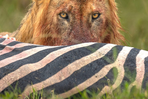 Kigali: Akagera National Park Safari with Boat Cruise