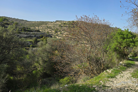 Tour privato a Troodos: cascata, villaggi e pranzo cipriotaTour privato a Troodos: cascata, villaggi e pranzo tipico cipriota