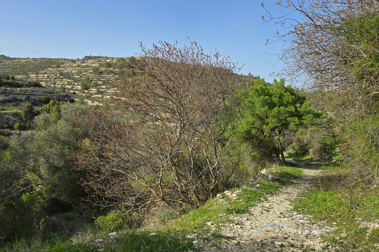 Tour privato a Troodos: cascata, villaggi e pranzo cipriotaTour privato a Troodos: cascata, villaggi e pranzo tipico cipriota