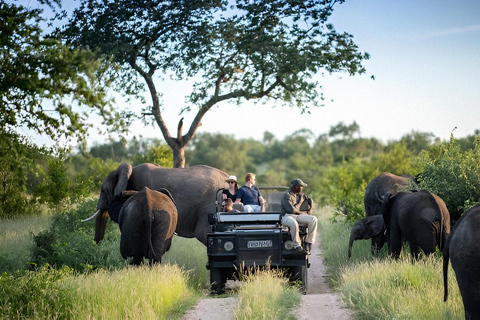 10 daagse Kruger en verder fotorondreis