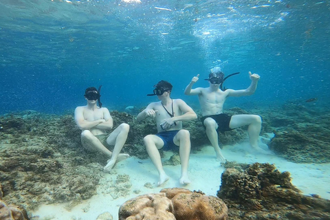 Cebu: Moalboal Island Hopping Paradise, Sardines Run