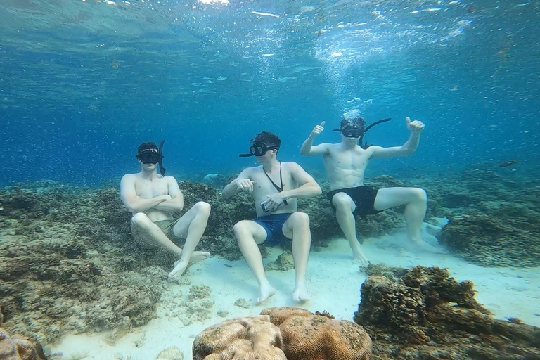 Cebu: Moalboal Island Hopping Paradise, Sardines Run