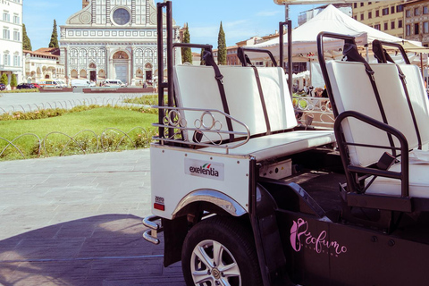 Golf Cart Tour of Florence Michelangelo & Panoramic Hills Florence: Private 60-Minute Eco-Friendly Golf Cart City Tour