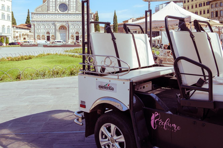 Golf Cart Tour of Florence Michelangelo & Panoramic Hills Florence: Private 60-Minute Eco-Friendly Golf Cart City Tour