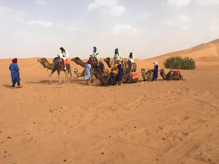 Merzouga : randonnée à dos de chameau et campement dans le désert – 3 jours / 2 nuits - dromadaire