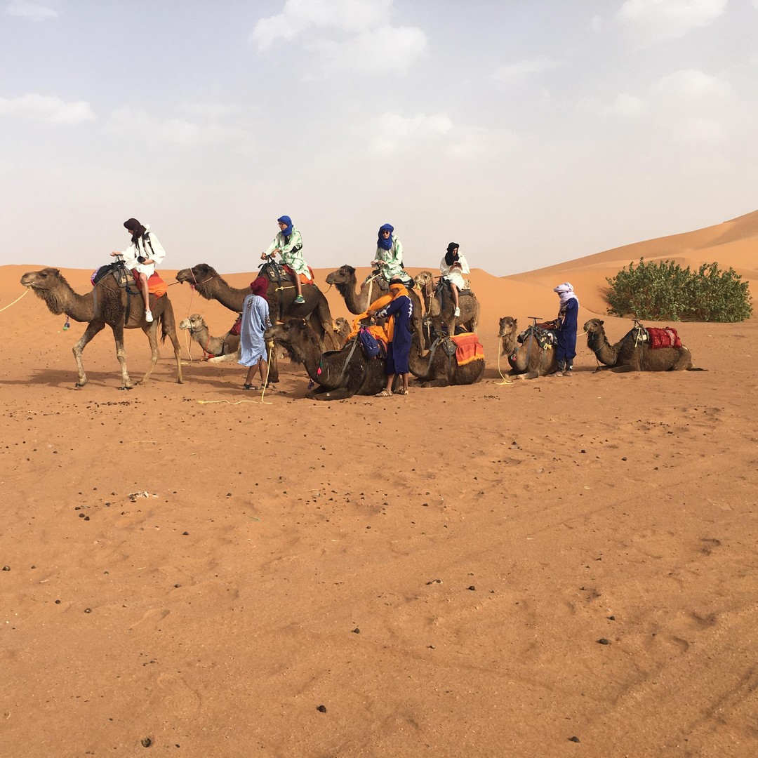 Merzouga : randonnée à dos de chameau et campement dans le désert – 3 jours / 2 nuits