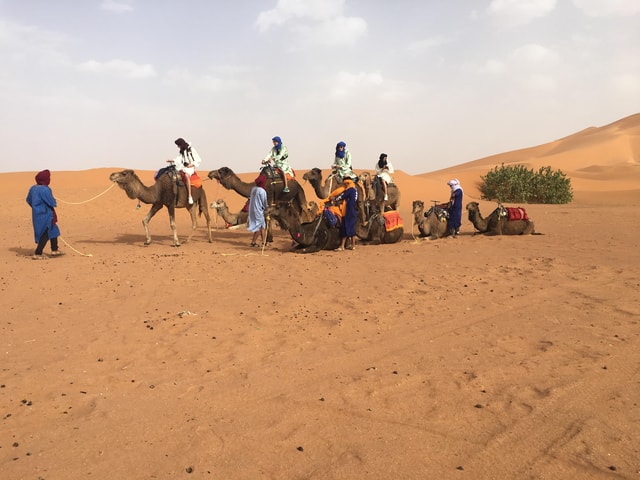 Marrakech: 2-Day Atlas Mountains & Zagora Desert Tour