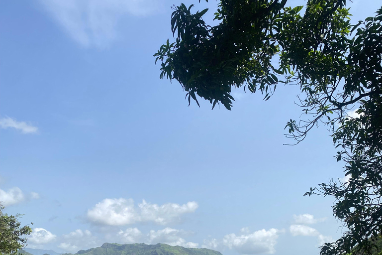 From the beach: Rui Vaz Natural Park - Botanical Garden - São Jorge walk