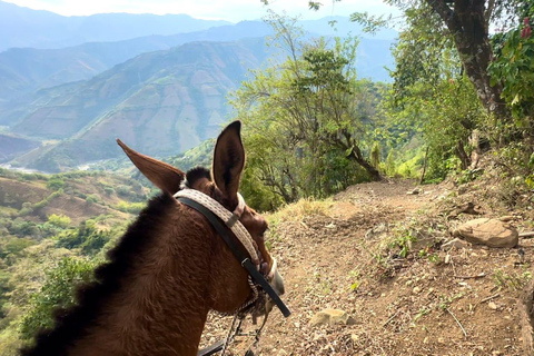 Epic Antioquia Adventure: ATVs Paragliding & Mountain Horses