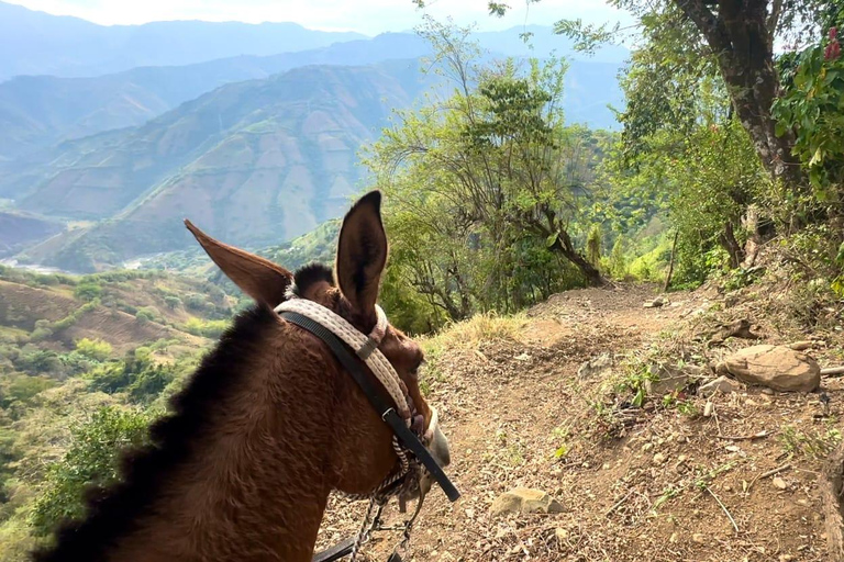 Epic Antioquia Adventure: ATVs Paragliding & Mountain Horses