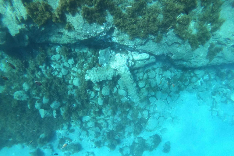 Excursion de plongée en apnée - Vila Franca do Campo Islet