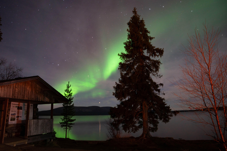 Levi: Northern Lights Hunting